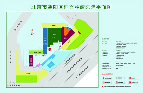 我操你的小逼视频北京市朝阳区桓兴肿瘤医院平面图